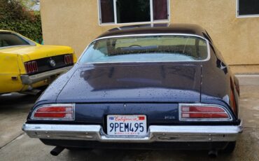Pontiac-Firebird-1973-Coupe-12