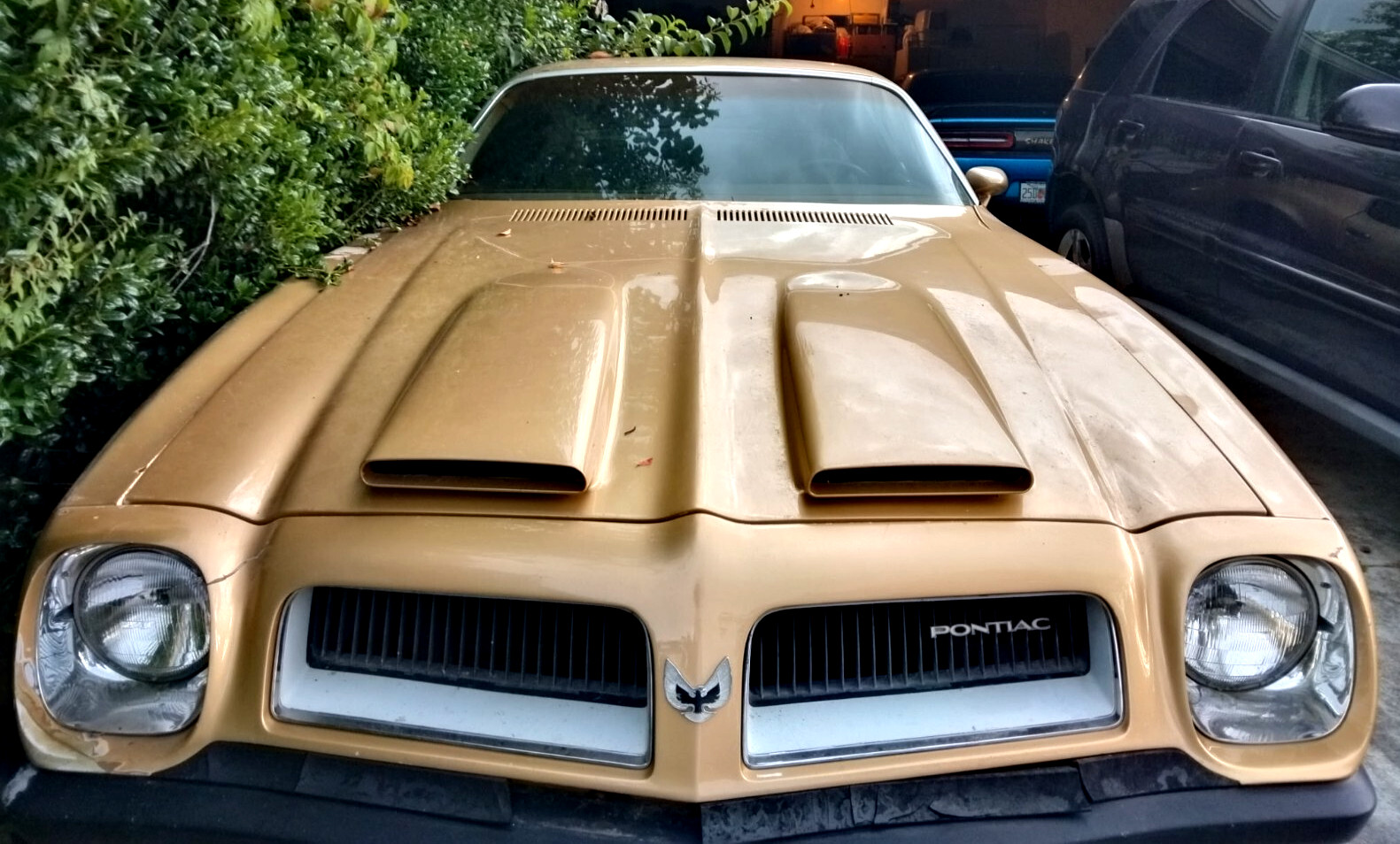 Pontiac Firebird 1974 Coupe