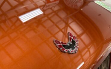 Pontiac-Firebird-1975-Coupe-18