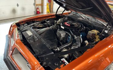 Pontiac-Firebird-1975-Coupe-39