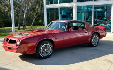 Pontiac-Firebird-1976-Convertible-10