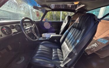 Pontiac-Firebird-1976-Convertible-12