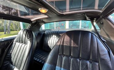 Pontiac-Firebird-1976-Convertible-13