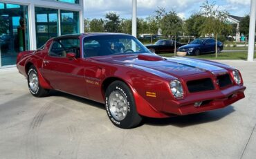 Pontiac-Firebird-1976-Convertible-2