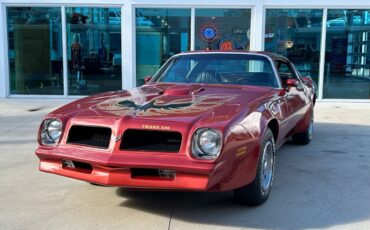 Pontiac-Firebird-1976-Convertible