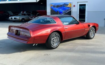 Pontiac-Firebird-1976-Convertible-4