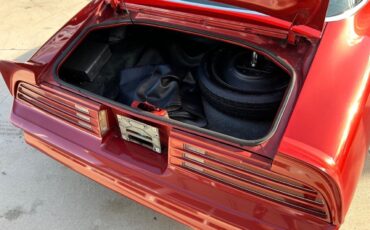 Pontiac-Firebird-1976-Convertible-5