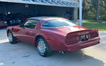 Pontiac-Firebird-1976-Convertible-8