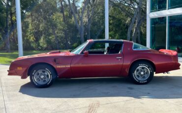 Pontiac-Firebird-1976-Convertible-9