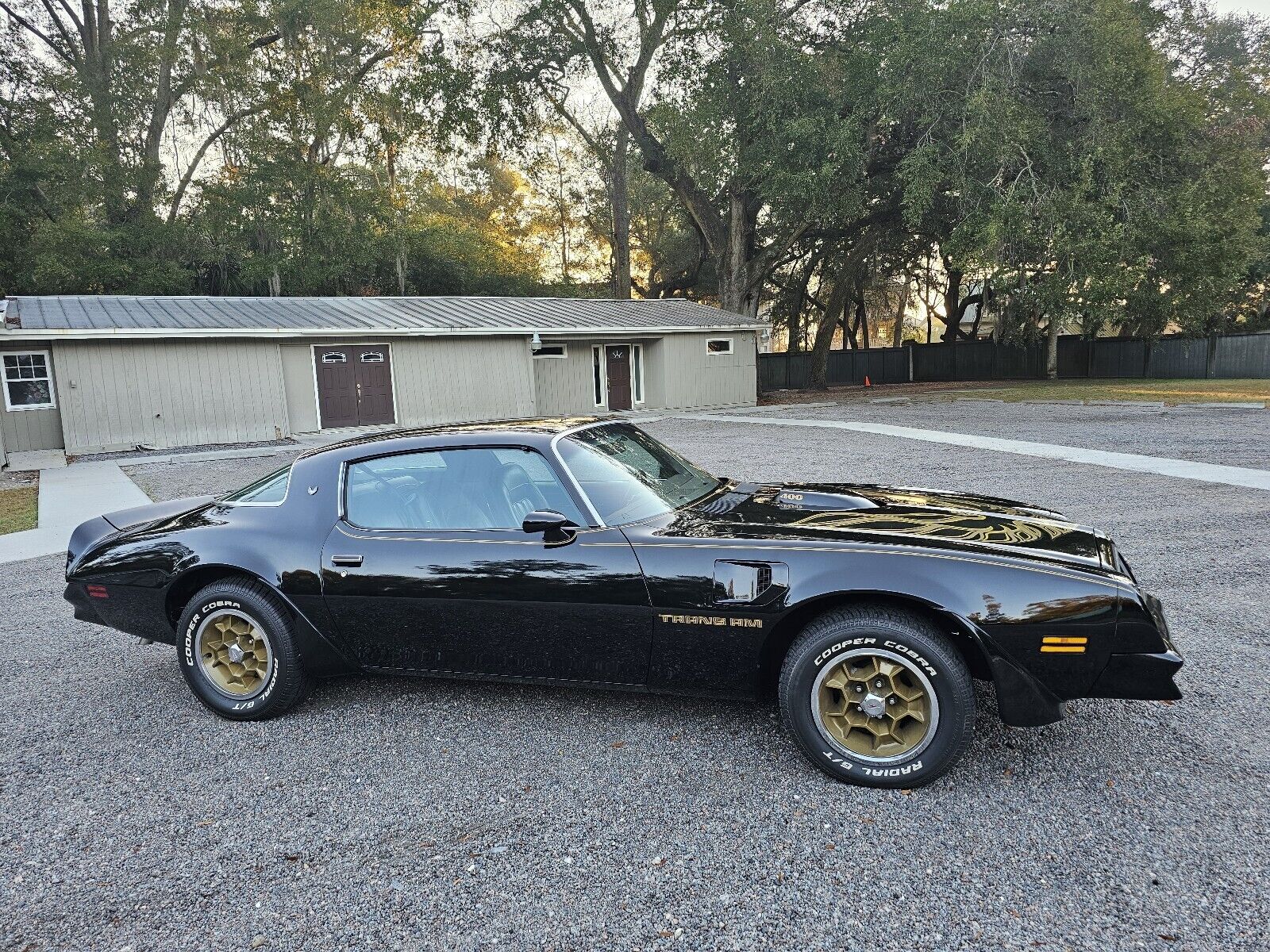 Pontiac-Firebird-1976-Coupe-10