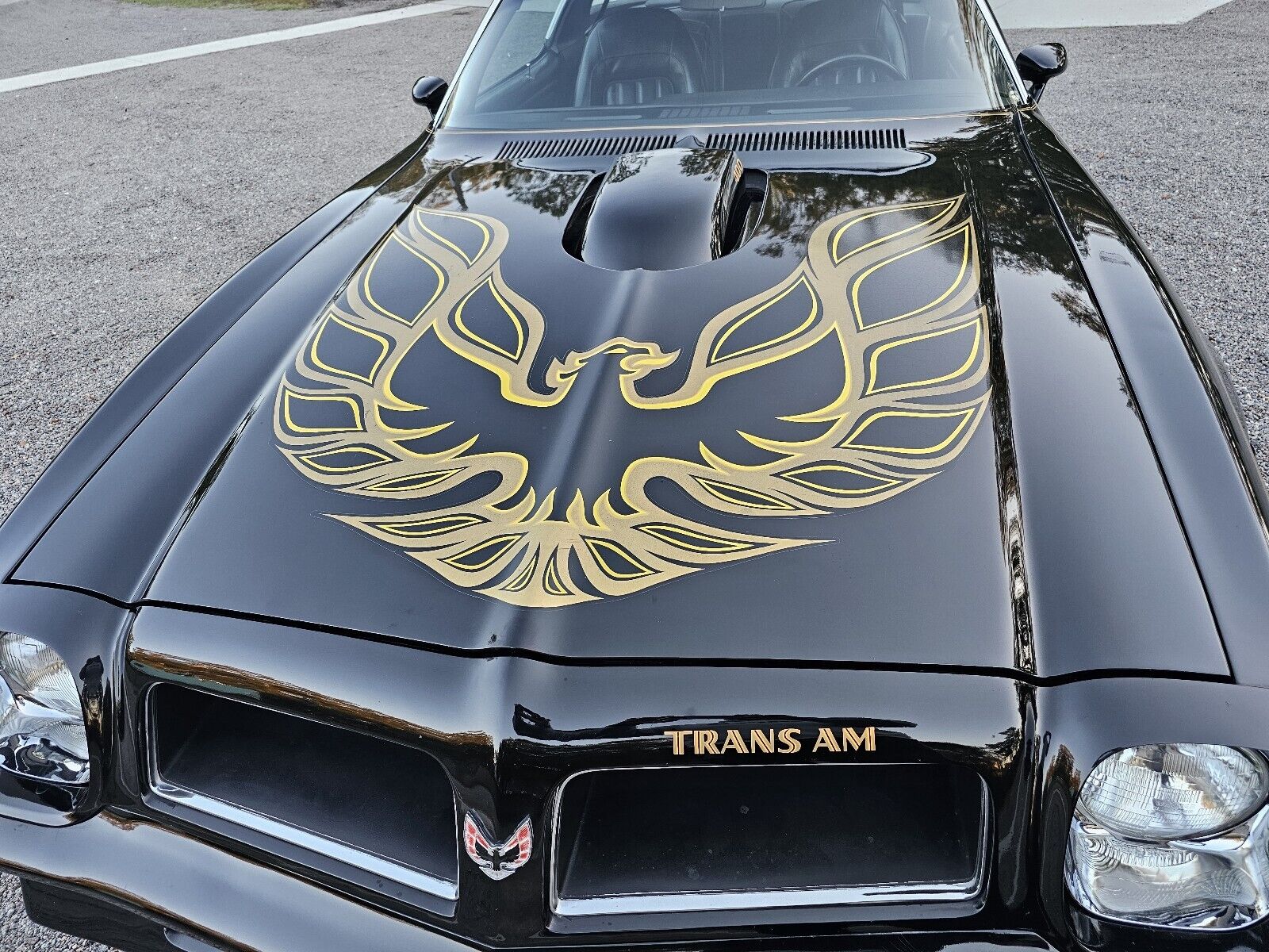 Pontiac-Firebird-1976-Coupe-11