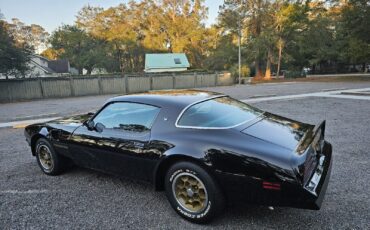 Pontiac-Firebird-1976-Coupe-21