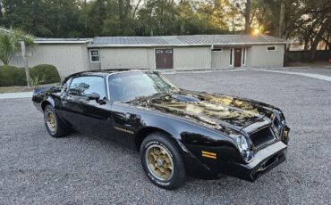 Pontiac-Firebird-1976-Coupe-29