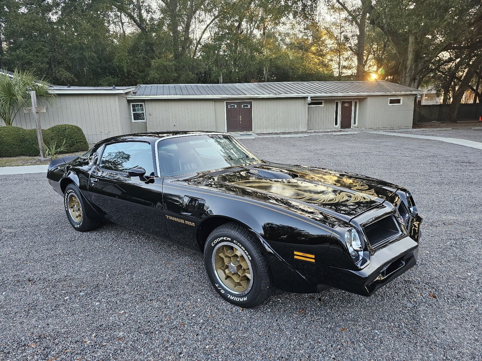 Pontiac-Firebird-1976-Coupe-29