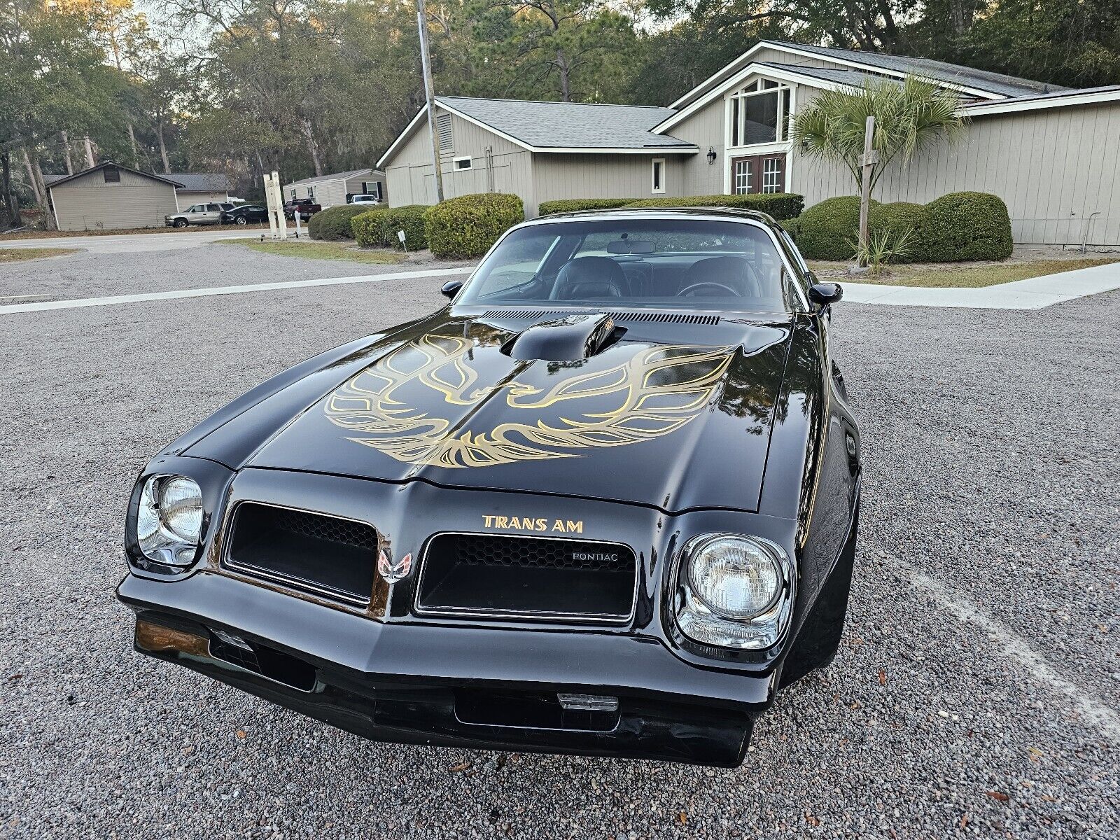 Pontiac-Firebird-1976-Coupe-31