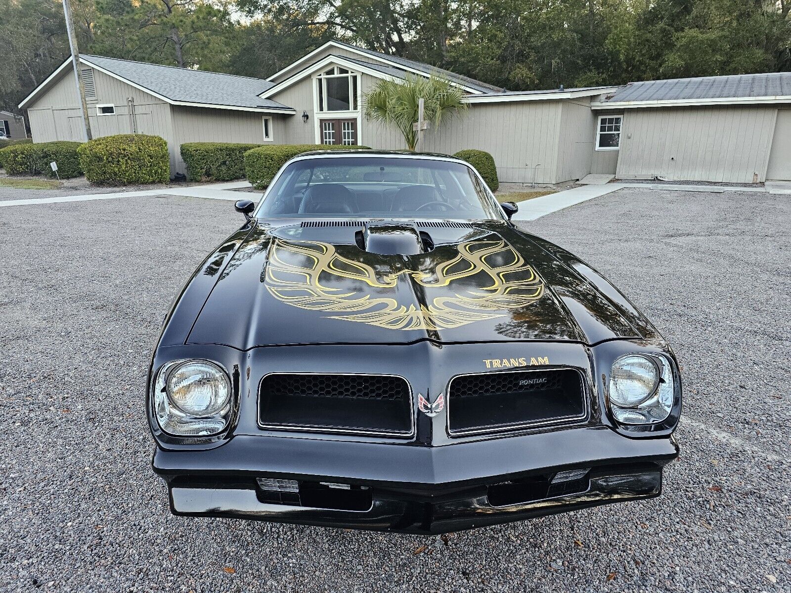 Pontiac-Firebird-1976-Coupe-32