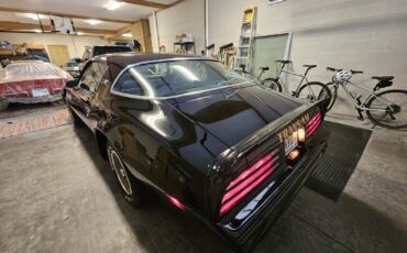 Pontiac-Firebird-1976-Coupe-37