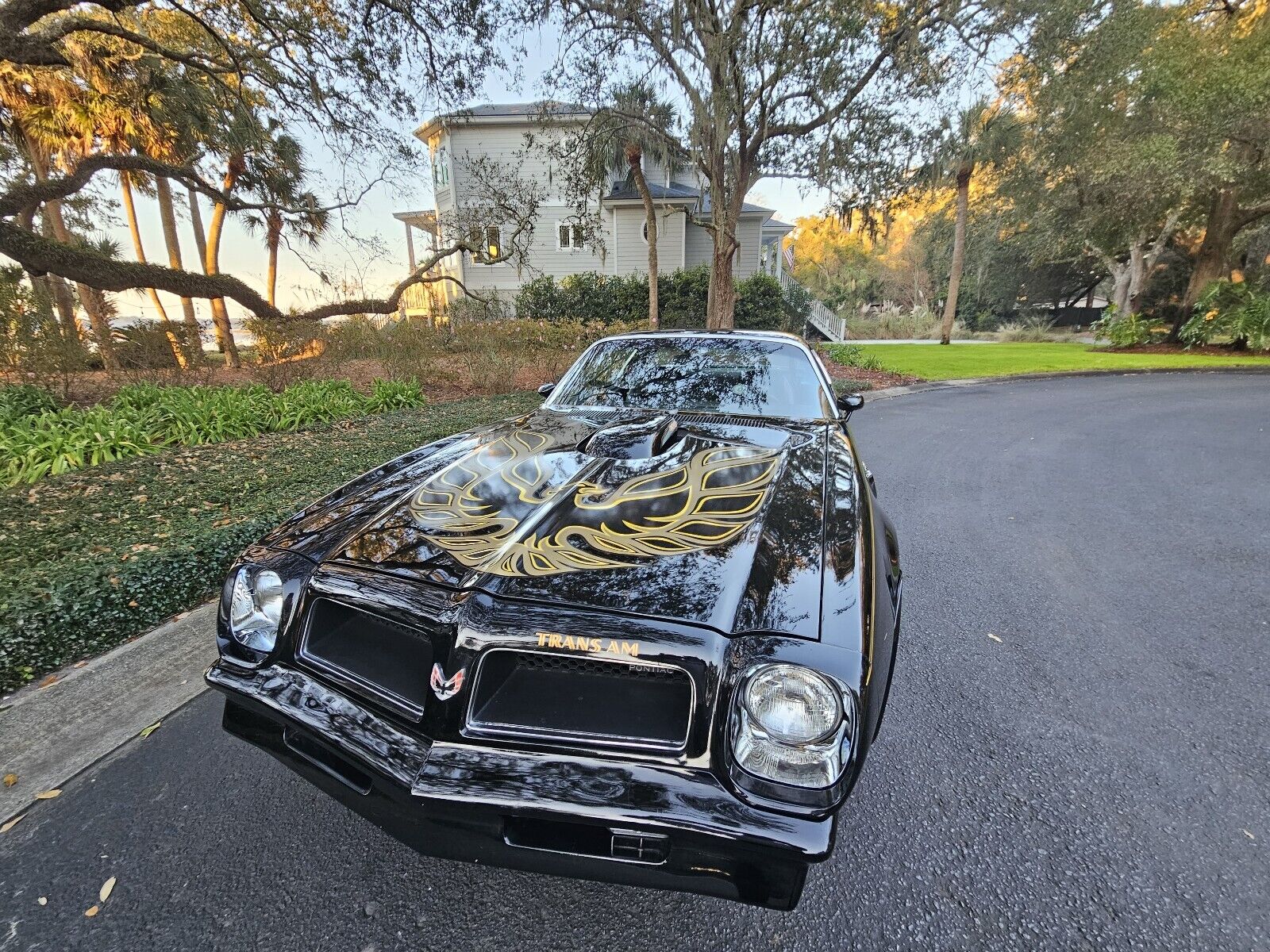 Pontiac-Firebird-1976-Coupe-4