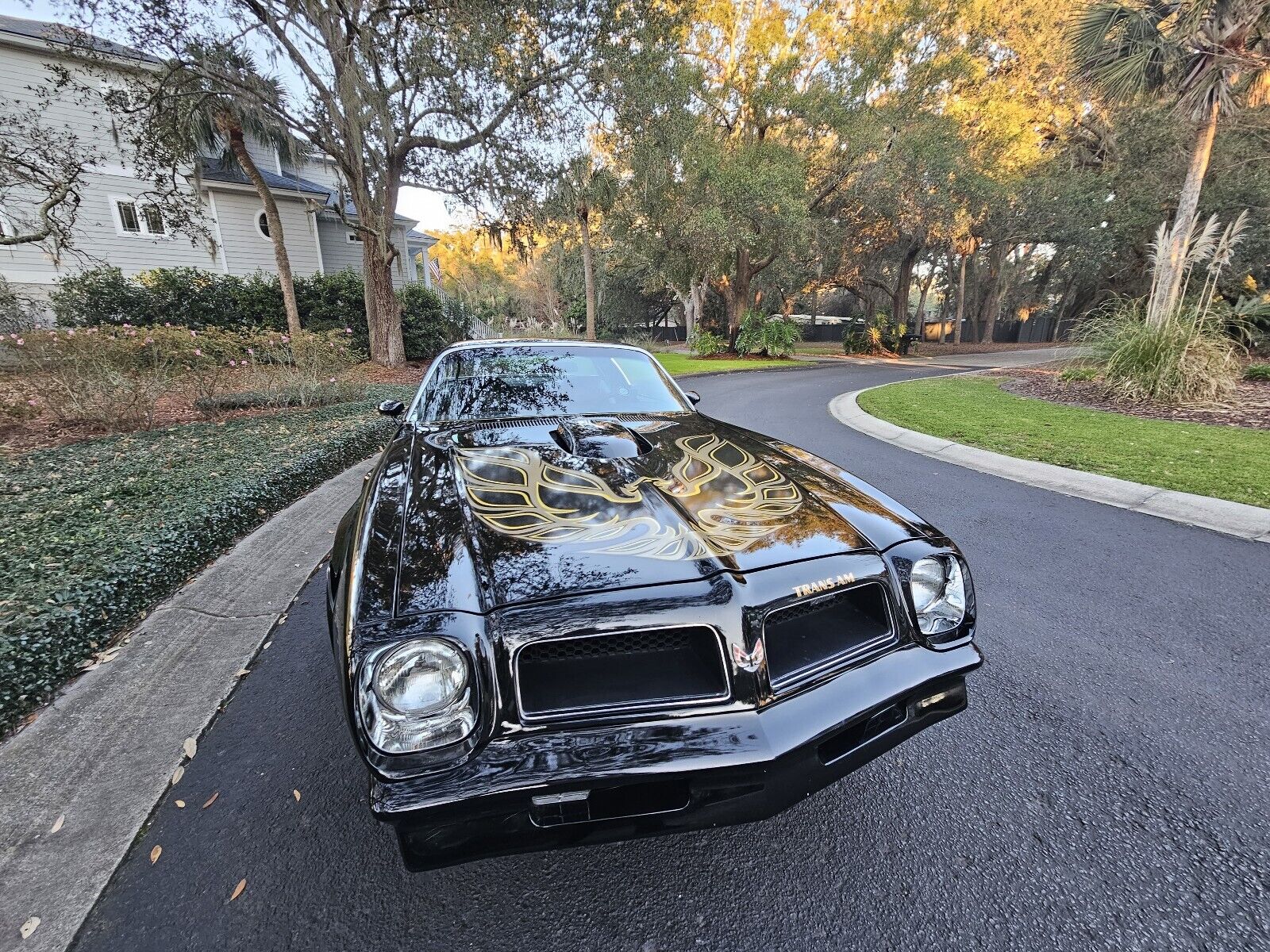 Pontiac-Firebird-1976-Coupe-6