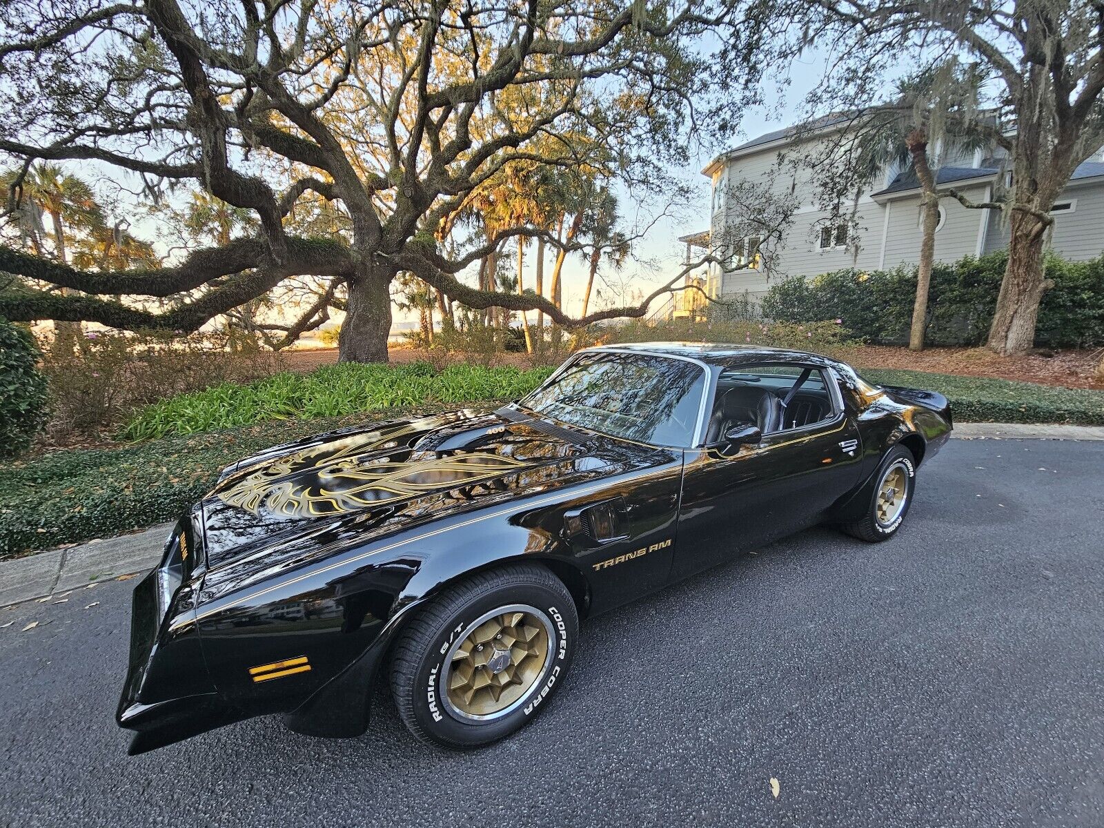 Pontiac-Firebird-1976-Coupe-7