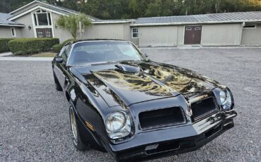 Pontiac-Firebird-1976-Coupe-9