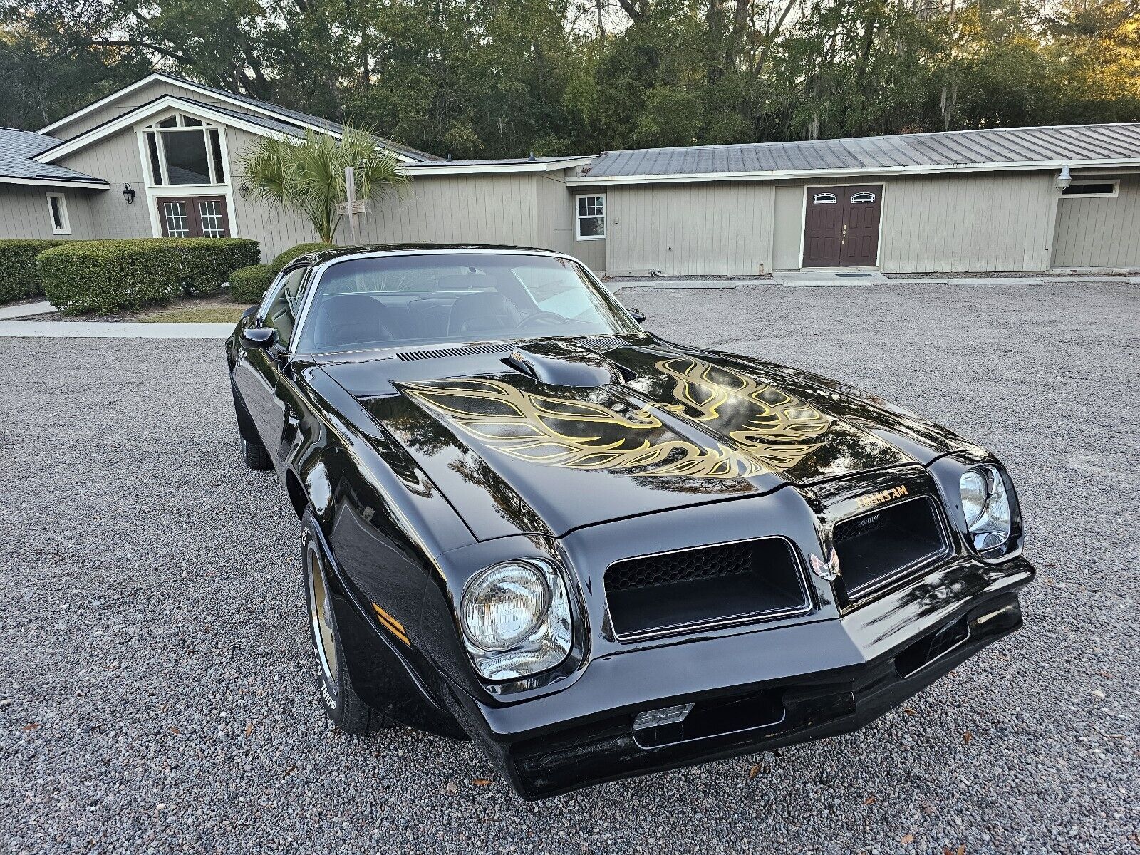 Pontiac-Firebird-1976-Coupe-9