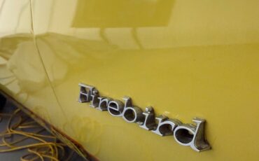 Pontiac-Firebird-1977-4