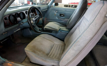 Pontiac-Firebird-1978-Classic-Car-21