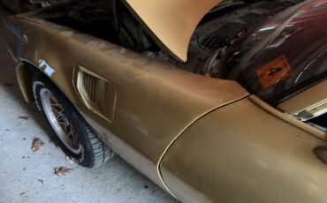 Pontiac-Firebird-1978-Coupe-11