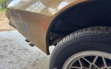 Pontiac-Firebird-1978-Coupe-12