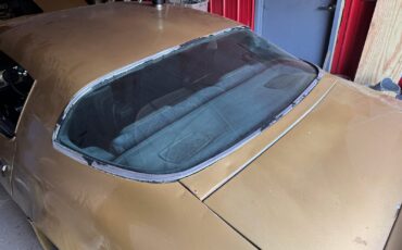 Pontiac-Firebird-1978-Coupe-3