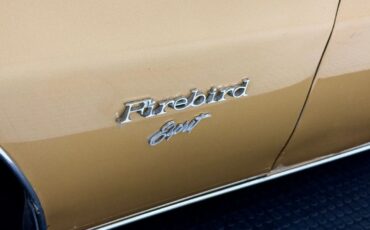 Pontiac-Firebird-1979-Coupe-11