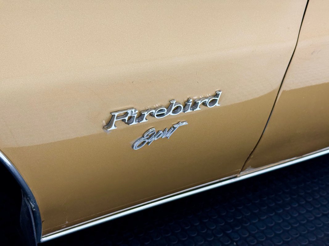 Pontiac-Firebird-1979-Coupe-11