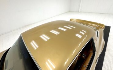 Pontiac-Firebird-1979-Coupe-13