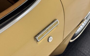 Pontiac-Firebird-1979-Coupe-14