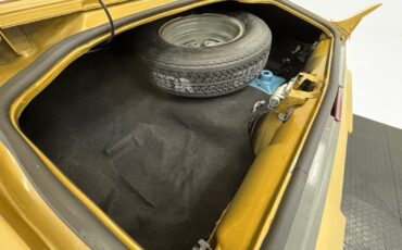 Pontiac-Firebird-1979-Coupe-32