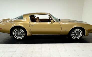 Pontiac-Firebird-1979-Coupe-5