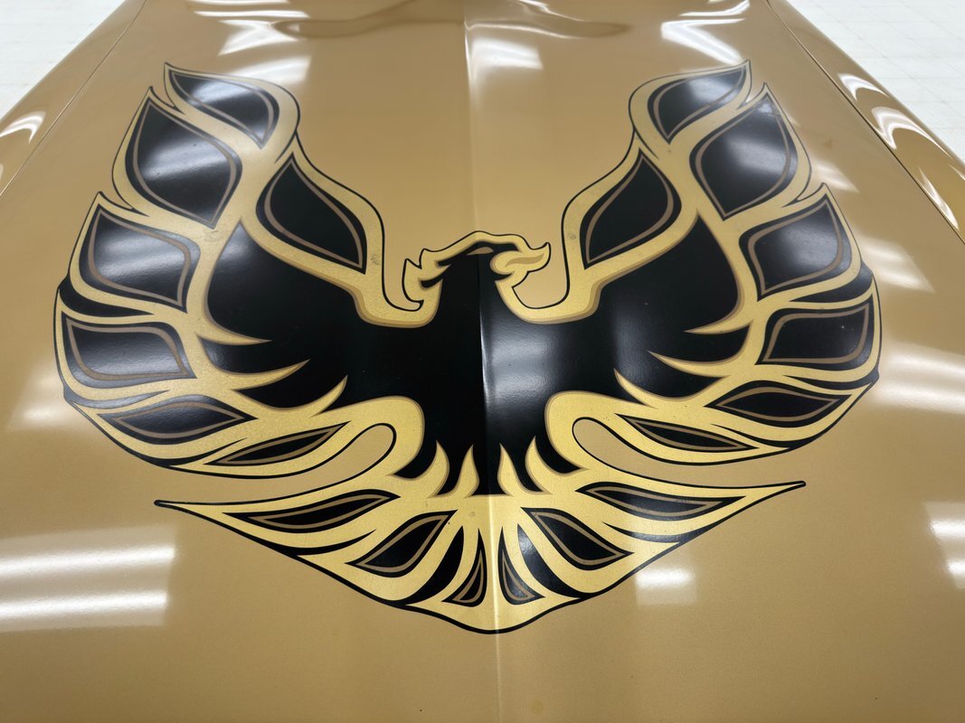 Pontiac-Firebird-1979-Coupe-9
