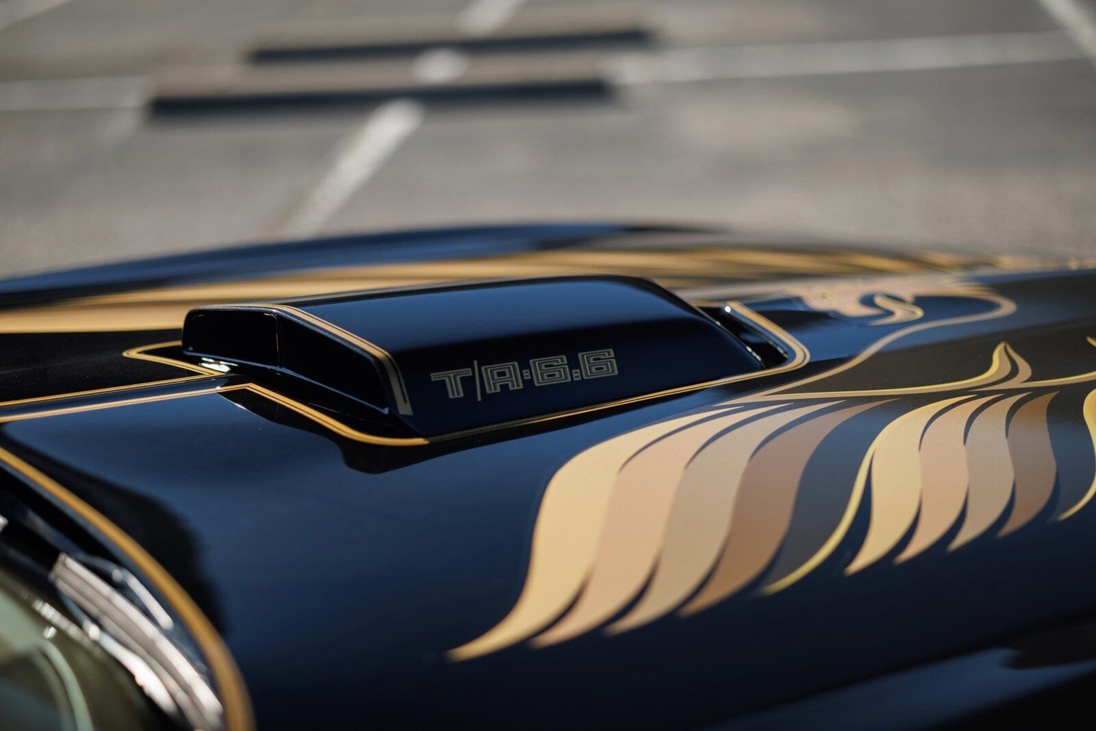 Pontiac-Firebird-1980-2D-Coupe-30