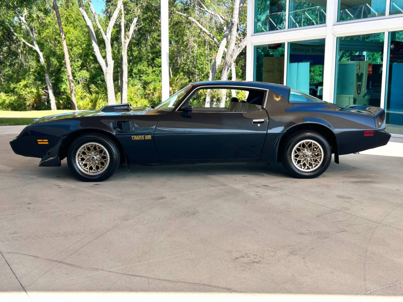 Pontiac-Firebird-1981-Coupe-10