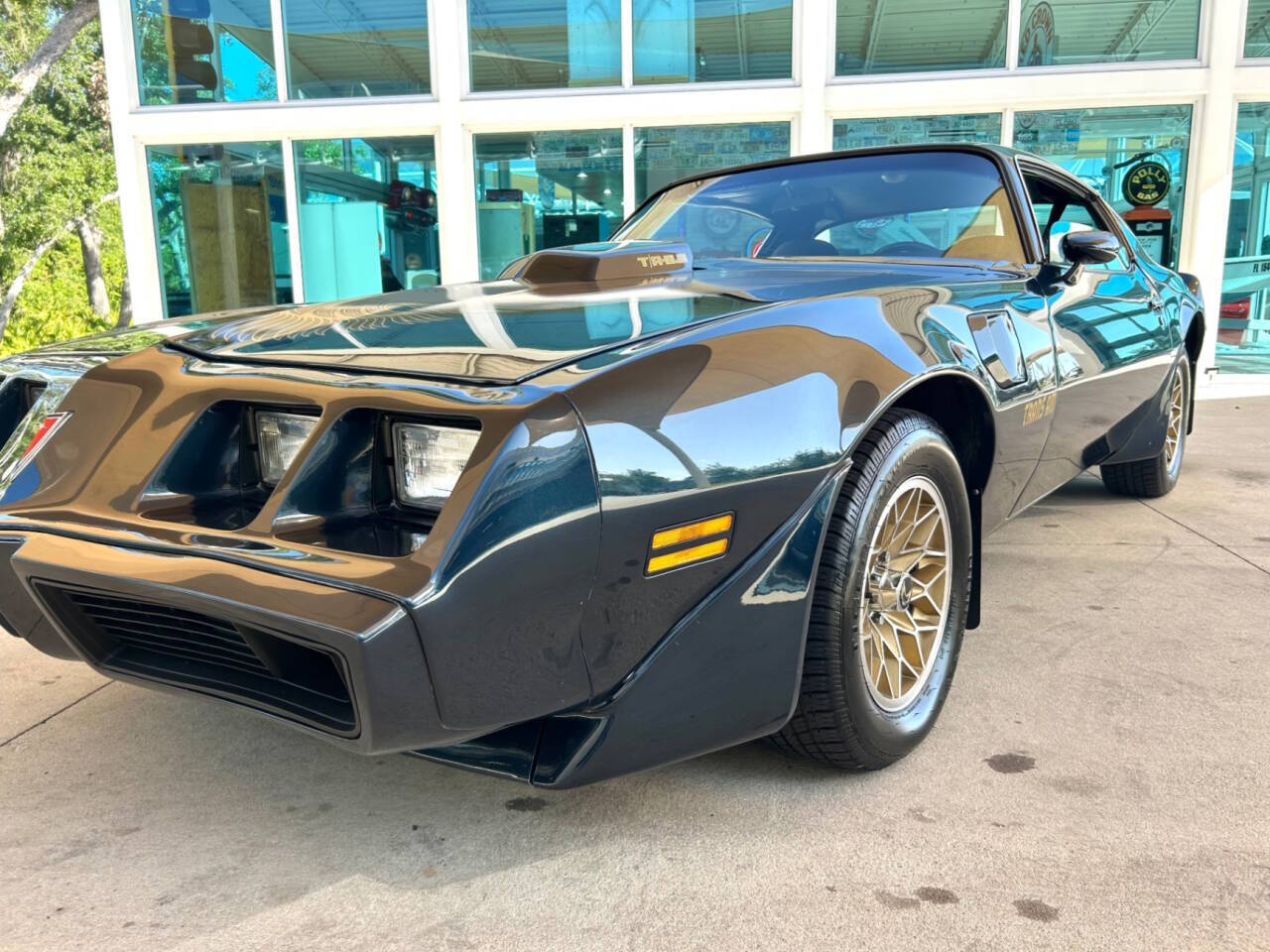 Pontiac-Firebird-1981-Coupe-12