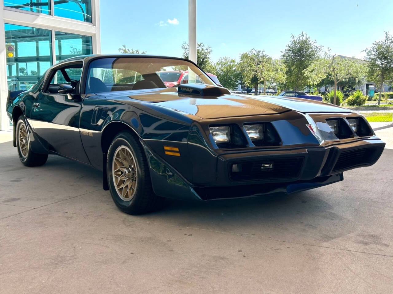 Pontiac-Firebird-1981-Coupe-2