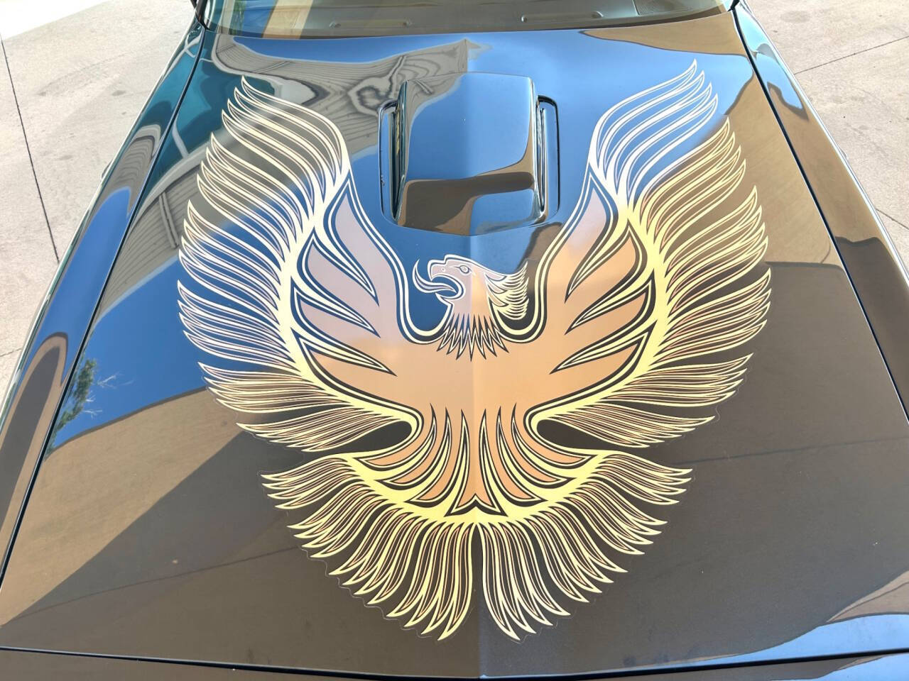 Pontiac-Firebird-1981-Coupe-20