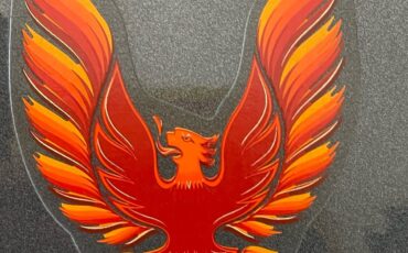 Pontiac-Firebird-1981-Coupe-27