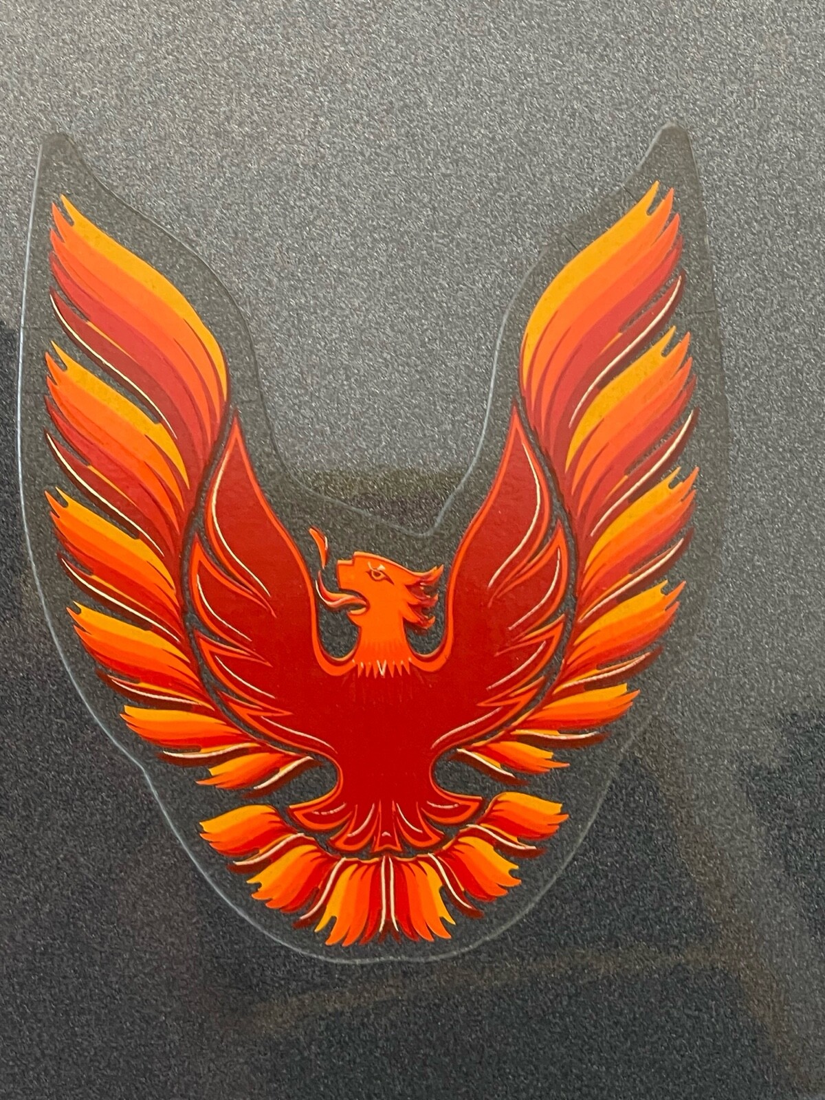 Pontiac-Firebird-1981-Coupe-27