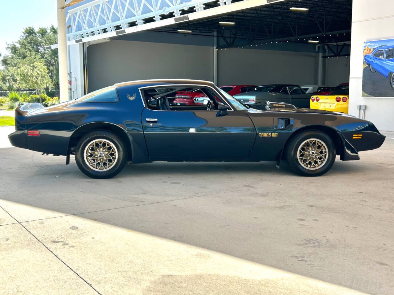 Pontiac-Firebird-1981-Coupe-3
