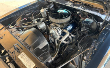 Pontiac-Firebird-1981-Coupe-38
