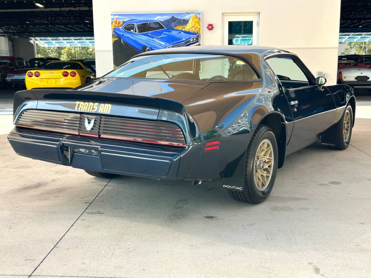 Pontiac-Firebird-1981-Coupe-4