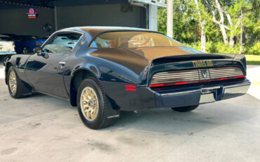 Pontiac-Firebird-1981-Coupe-9
