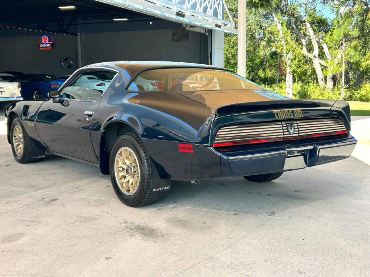 Pontiac-Firebird-1981-Coupe-9